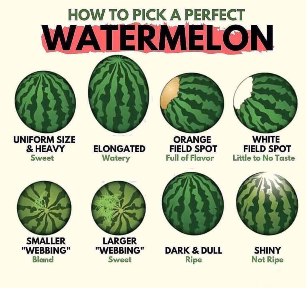 types of water melon